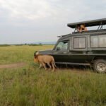 what-to-see-in-murchison-falls-national-park