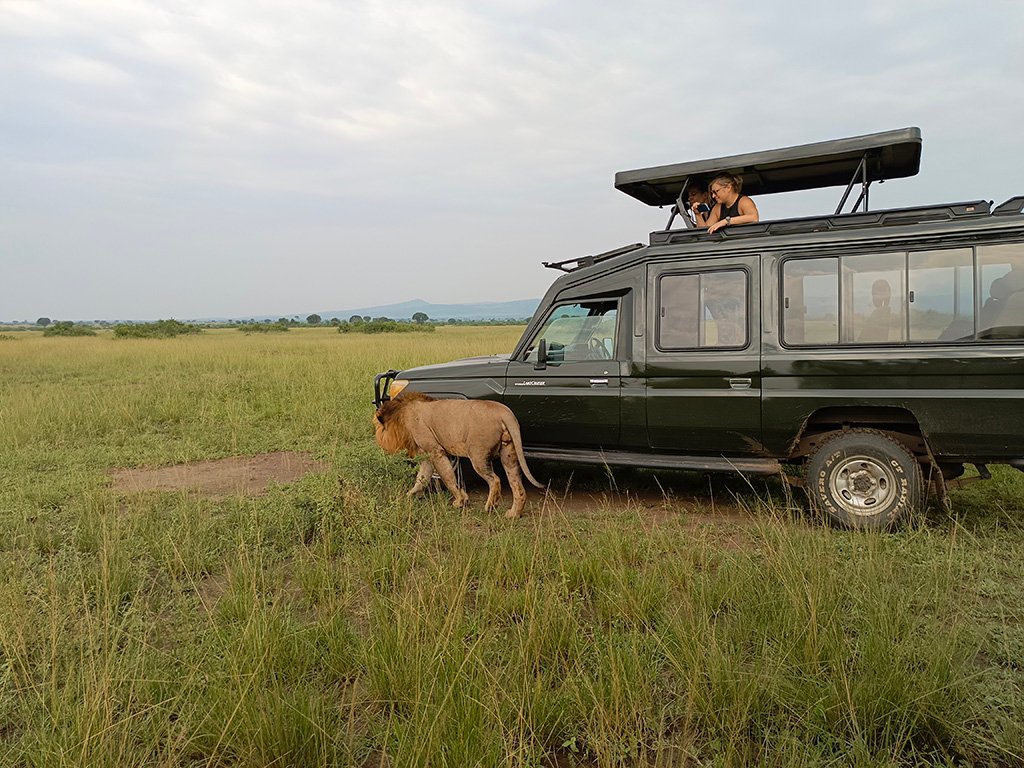 what-to-see-in-murchison-falls-national-park