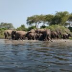 visiting-murchison-falls-national-park
